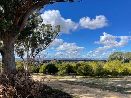 Lot 104  Doghill Road, Baldivis - Image 1