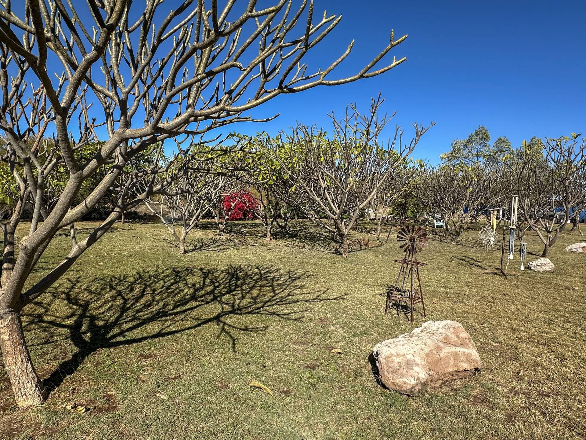 114 Railway Street, Cloncurry, Cloncurry - Thumbnail 6