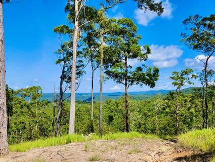 Lot 483 Bellthorpe Road, Sandy Creek - Image 1