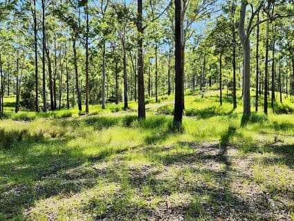 Lot 483  Bellthorpe Road, Sandy Creek - Thumbnail 2