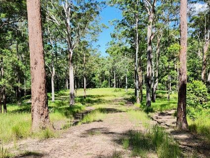 Lot 483  Bellthorpe Road, Sandy Creek - Thumbnail 3