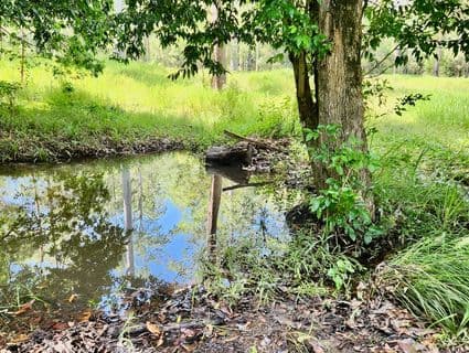 Lot 483  Bellthorpe Road, Sandy Creek - Thumbnail 4