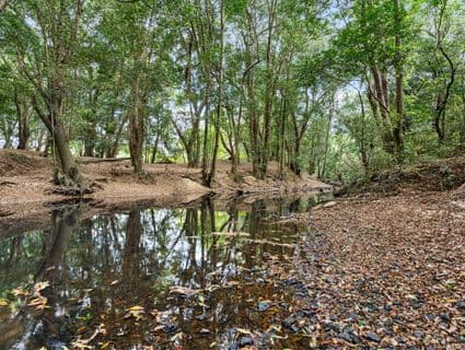 1609 Peachester Road, Peachester - Thumbnail 6