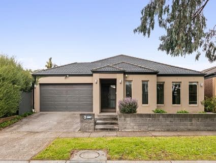 19 Wattletree Street, Craigieburn - Image 1