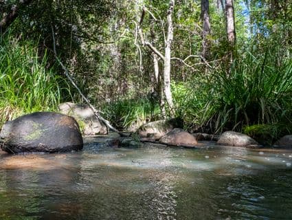Lot 484  Bellthorpe Road, Sandy Creek - Thumbnail 2