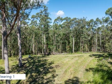 Lot 484  Bellthorpe Road, Sandy Creek - Thumbnail 3