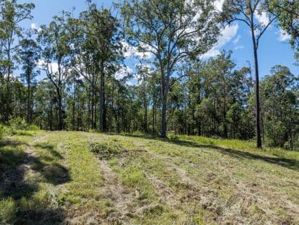 Lot 484  Bellthorpe Road, Sandy Creek - Thumbnail 5