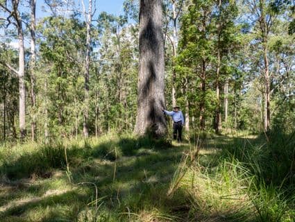 Lot 484  Bellthorpe Road, Sandy Creek - Thumbnail 8