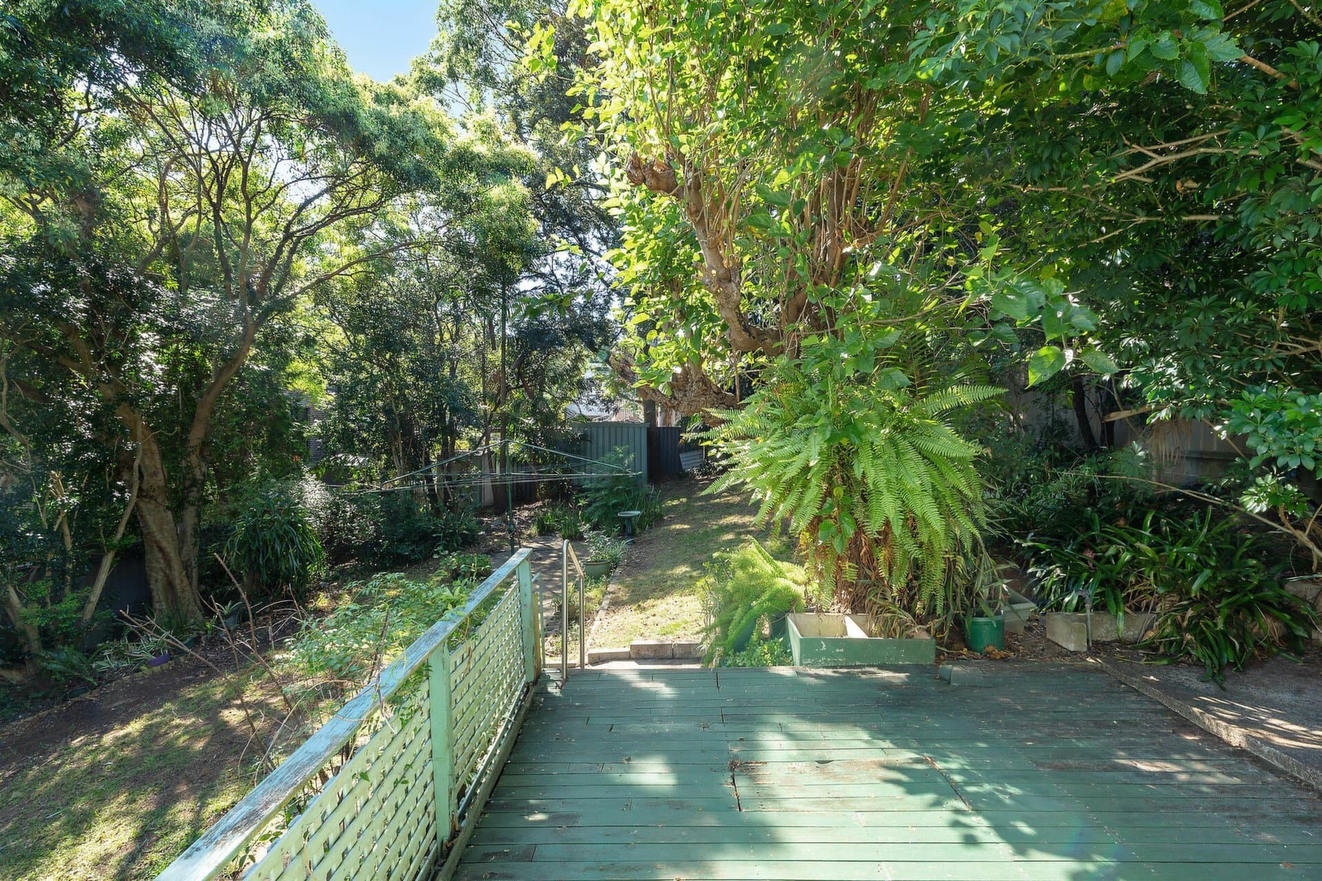 5 Mount Street, West Ryde, West Ryde - Thumbnail 7