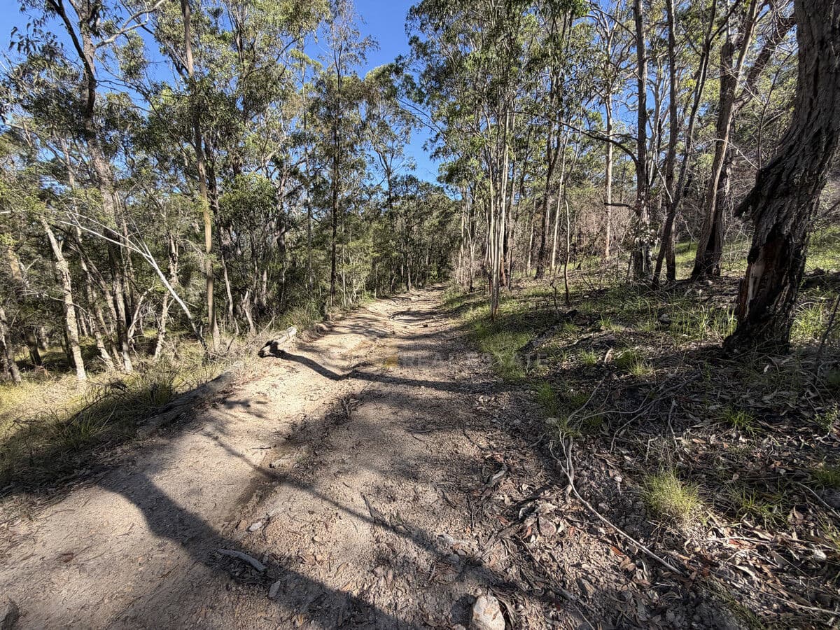 Lot 40 Tenterfield Road, North Arm Cove NSW 2324, North Arm Cove - Thumbnail 3