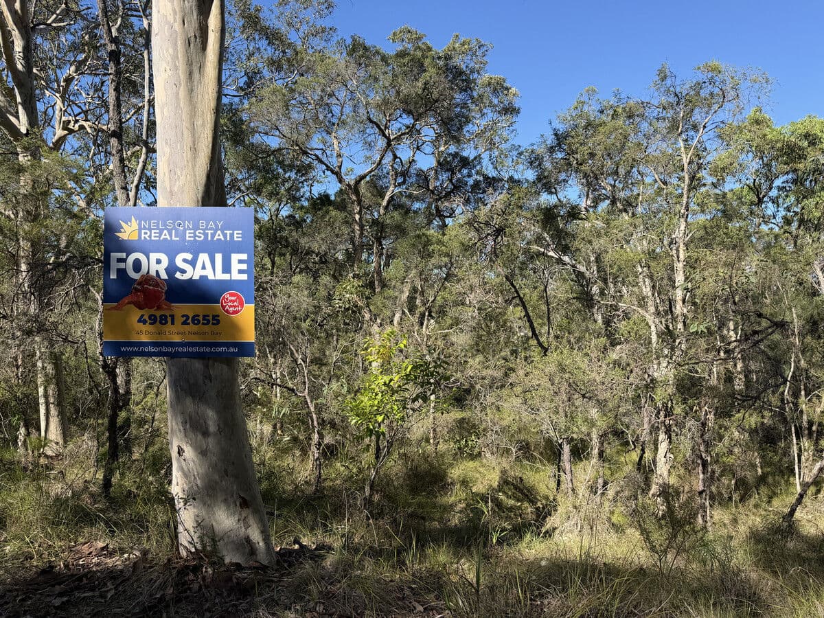 Lot 40 Tenterfield Road, North Arm Cove NSW 2324, North Arm Cove - Thumbnail 6