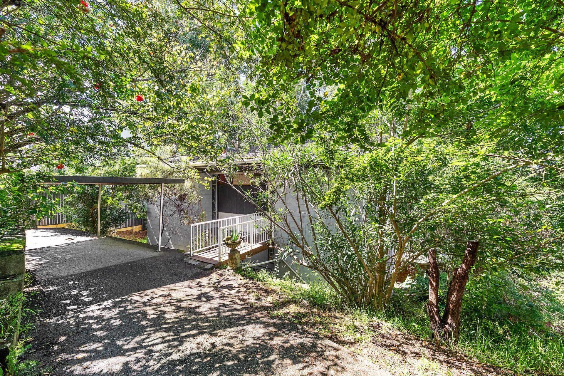 77 Terry Road, Denistone, Denistone - Thumbnail 3