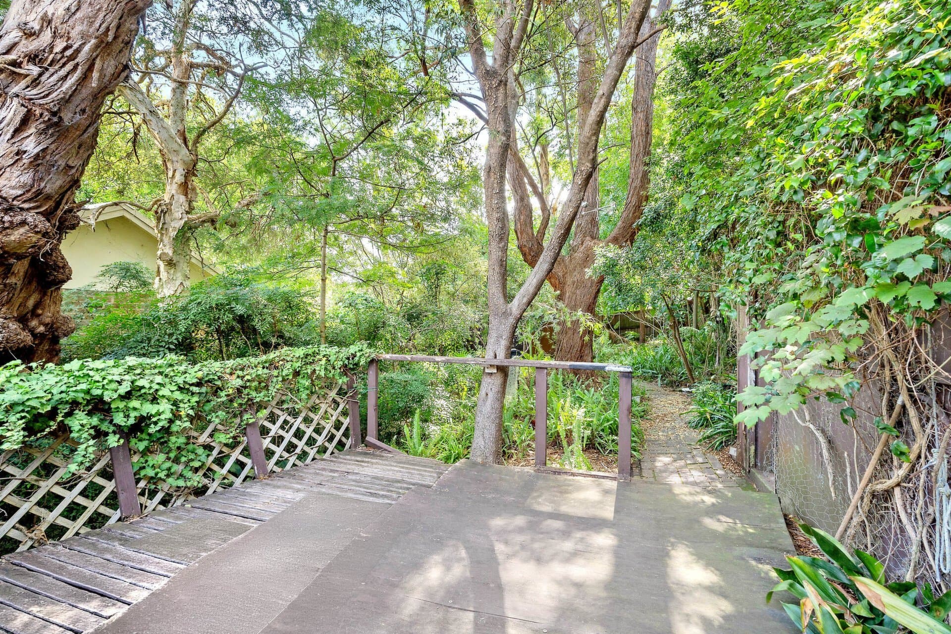 17 Pearson Street, Gladesville, Gladesville - Thumbnail 6