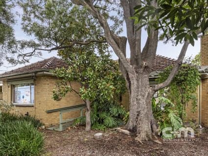 82 Austin Crescent, Pascoe Vale - Thumbnail 2