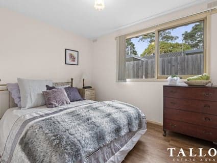 37 Burke Street, Hastings - Thumbnail 6
