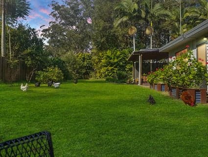 25 Storrs Road, Peachester - Thumbnail 7