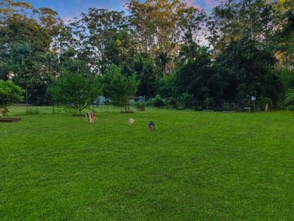25 Storrs Road, Peachester - Thumbnail 8