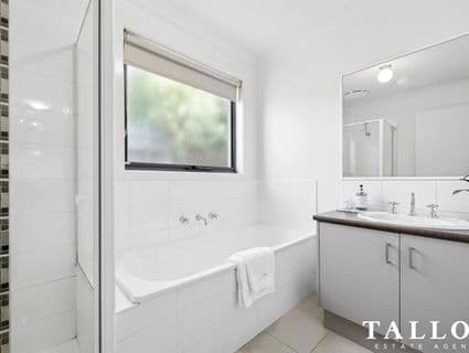 14/10 Kingfisher Court, Hastings - Thumbnail 8