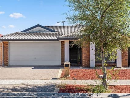 8 Sittella Avenue, Burton - Thumbnail 2