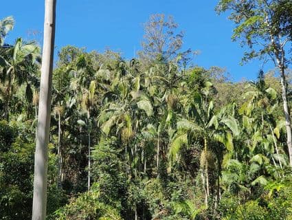 Lot 486 Windermere Road, Sandy Creek - Thumbnail 4