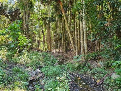 Lot 486 Windermere Road, Sandy Creek - Thumbnail 5