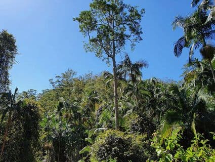 Lot 486 Windermere Road, Sandy Creek - Thumbnail 6