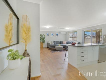 17a Evans Street, Greta - Thumbnail 5