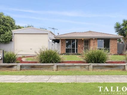 20 Stephen Street, Hastings - Image 1