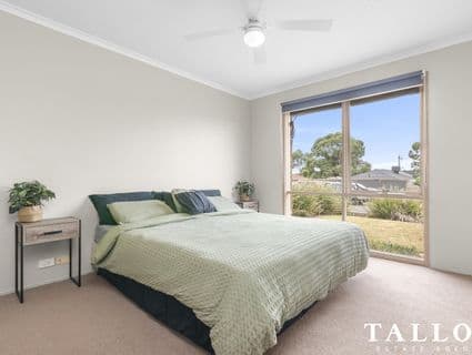 20 Stephen Street, Hastings - Thumbnail 6