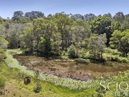 398 Happy Jack Creek Road, Carters Ridge - Thumbnail 3