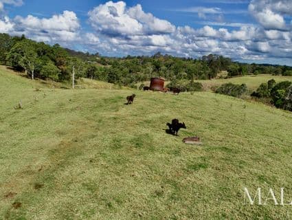 Lot 2 & 5  Schultz Road, Witta - Thumbnail 2