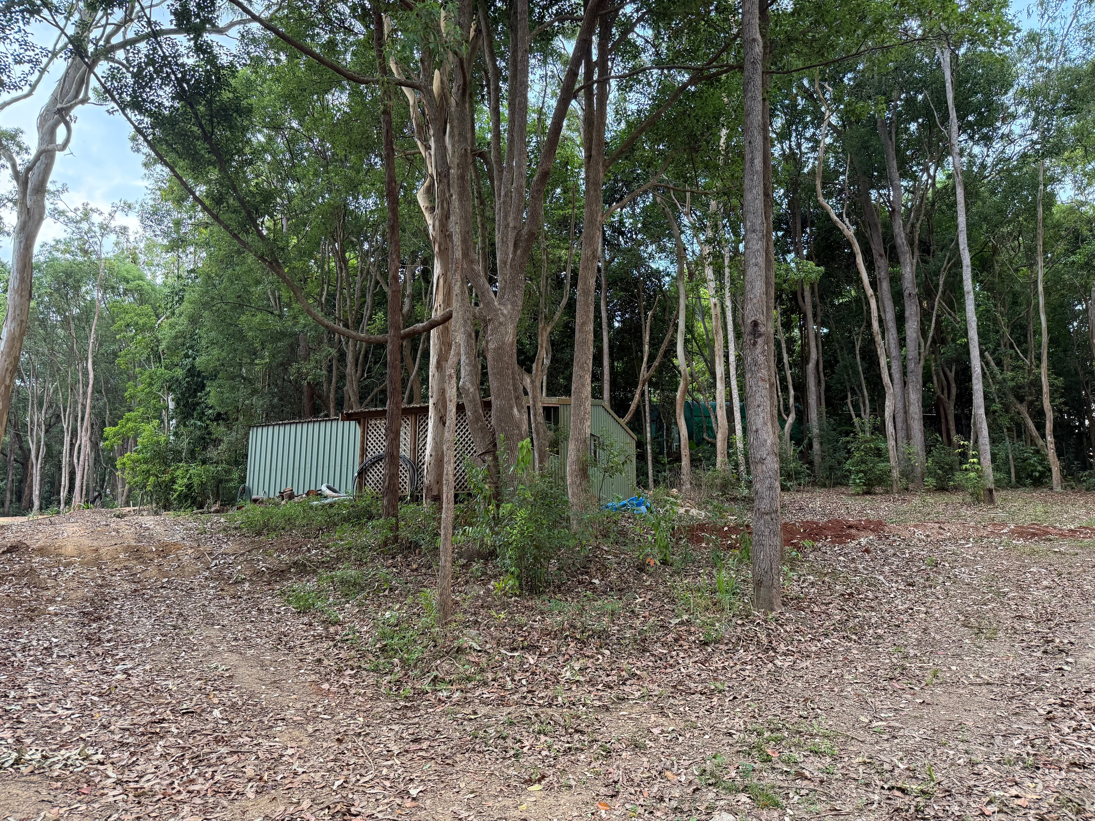 3/3 Penda Street, Yungaburra - Thumbnail 6