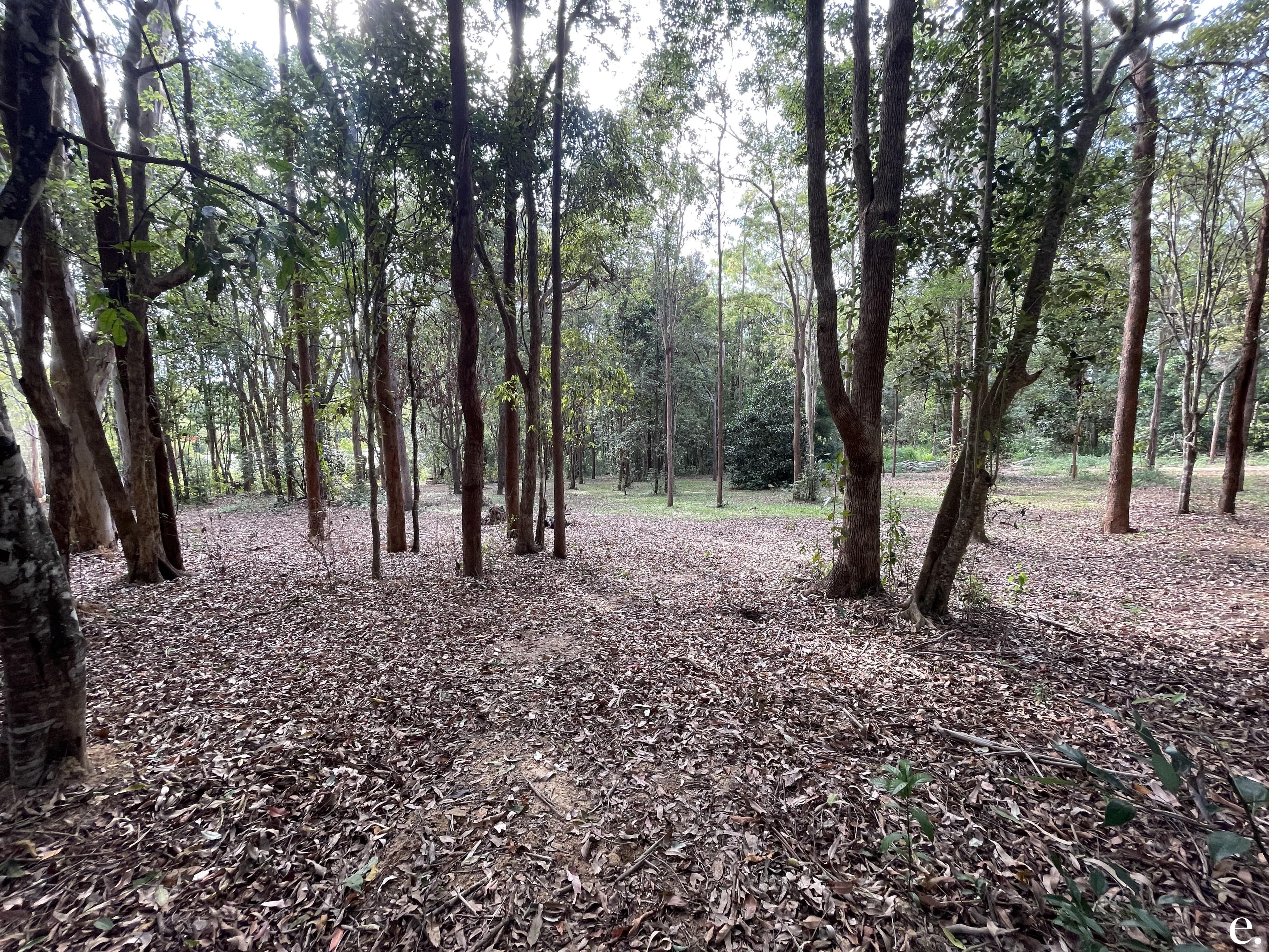 9/3 Penda Street, Yungaburra - Thumbnail 7