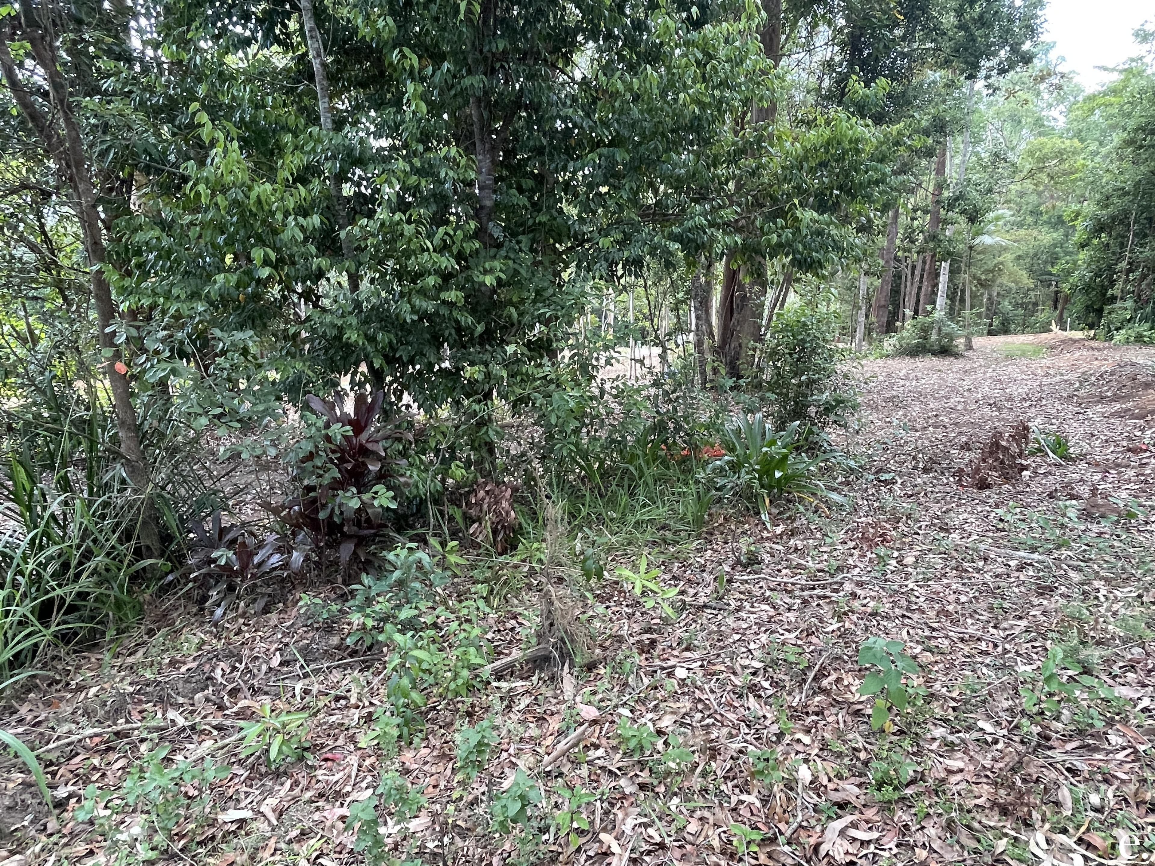 7/3 Penda Street, Yungaburra - Thumbnail 4