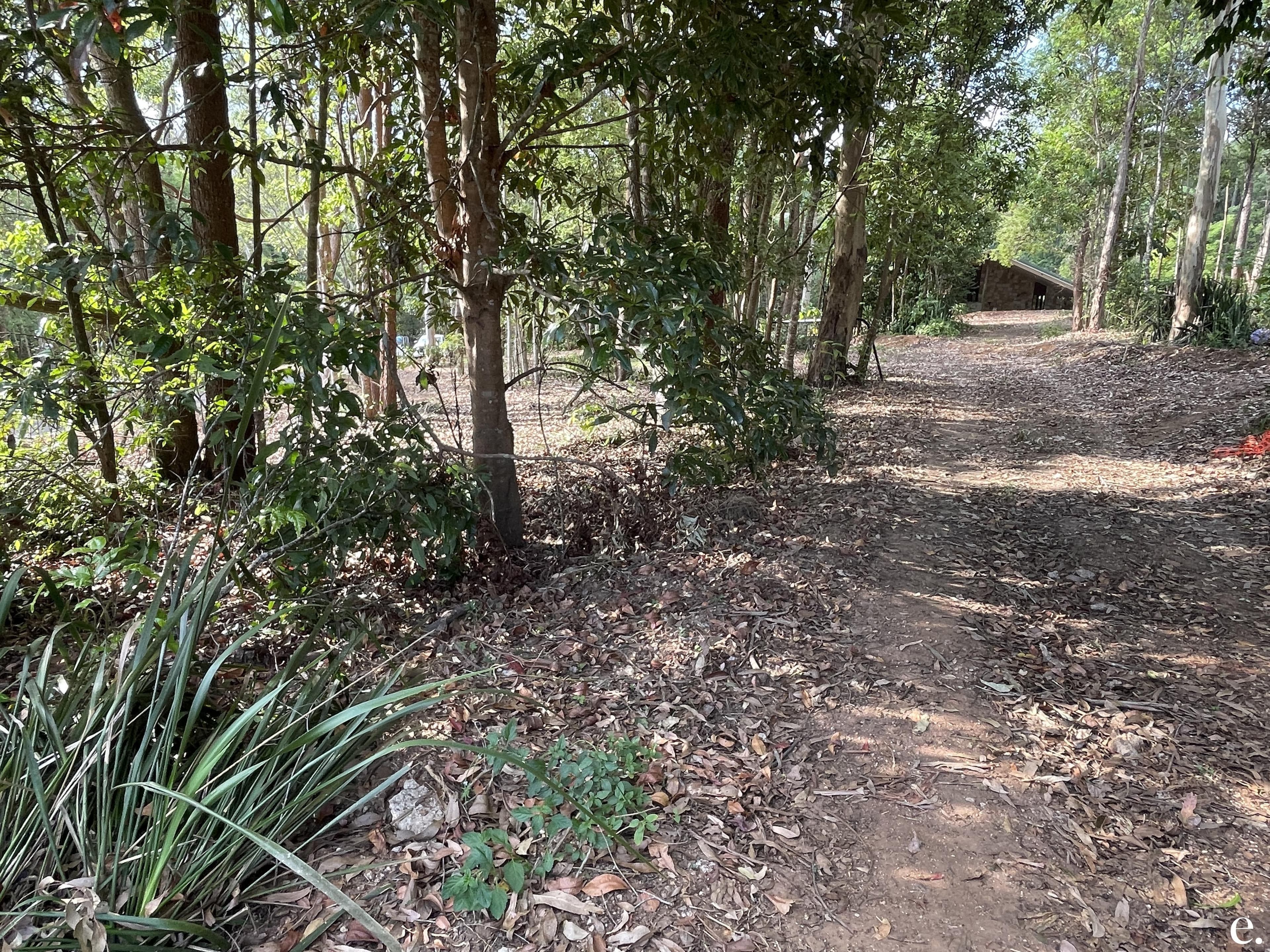 7/3 Penda Street, Yungaburra - Thumbnail 5
