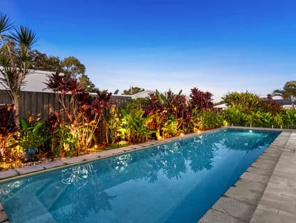 16 Bowerbird Close, Peregian Springs - Thumbnail 5