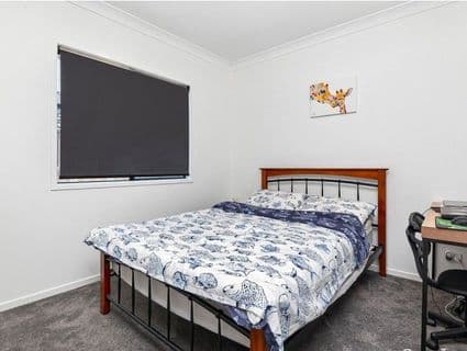 66 Sudbury Drive, Pimpama - Thumbnail 6