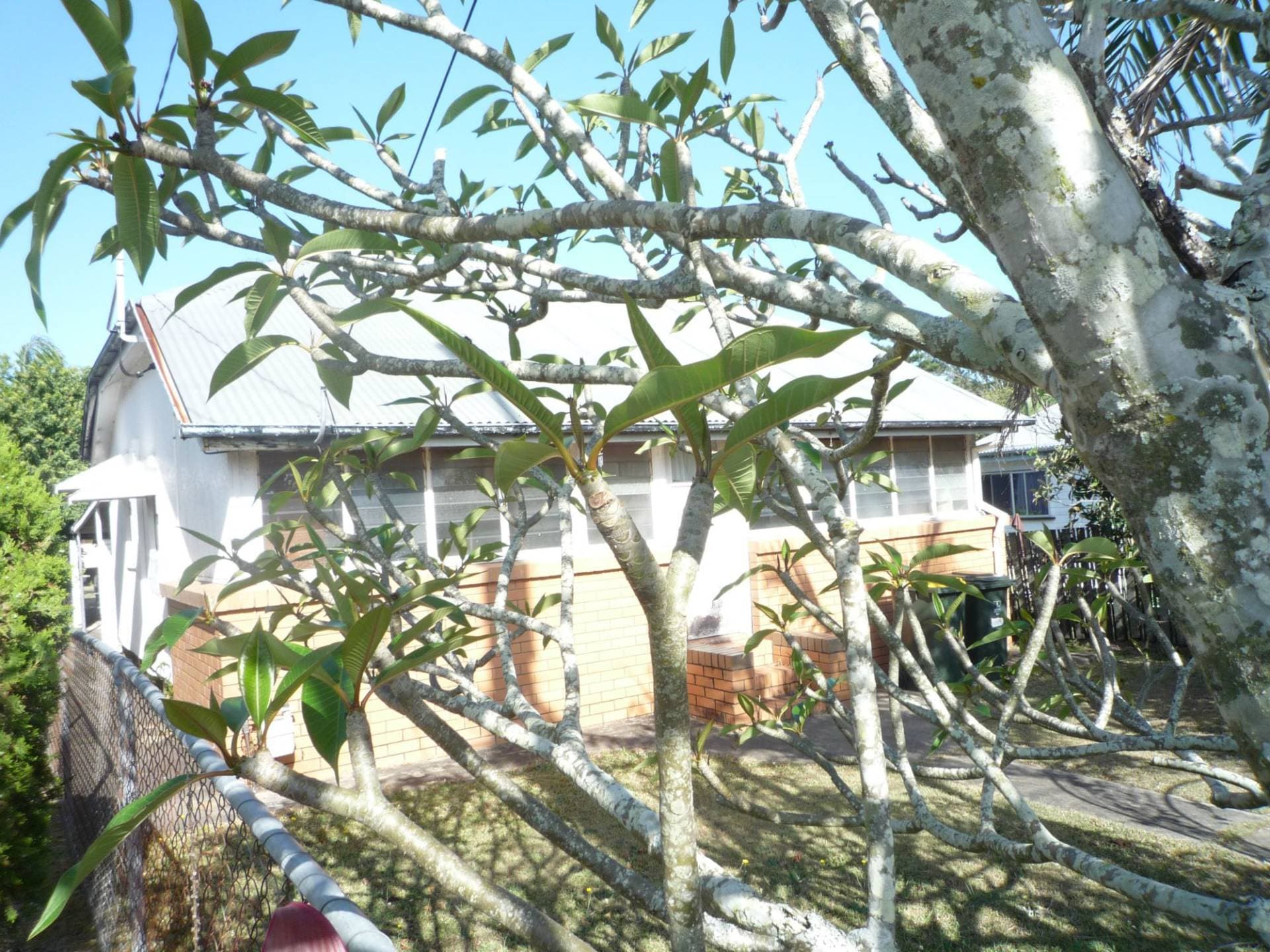 222 Brighton Terrace, Brighton, QLD, Brighton - Thumbnail 4