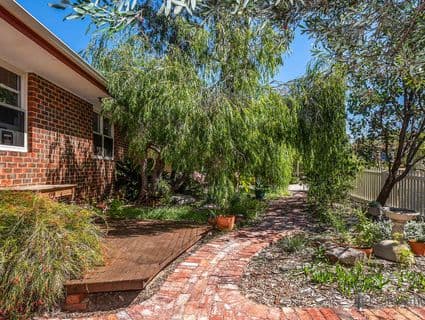 43 Williams Road, Coolbellup - Thumbnail 4