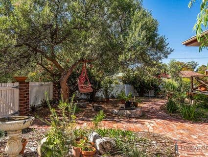 43 Williams Road, Coolbellup - Thumbnail 6