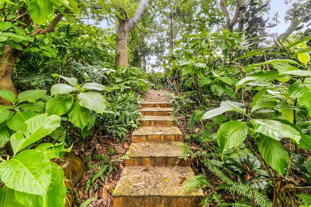 lot 2/17 Middlemiss Street, Mareeba, QLD, 4880, Mareeba - Thumbnail 8