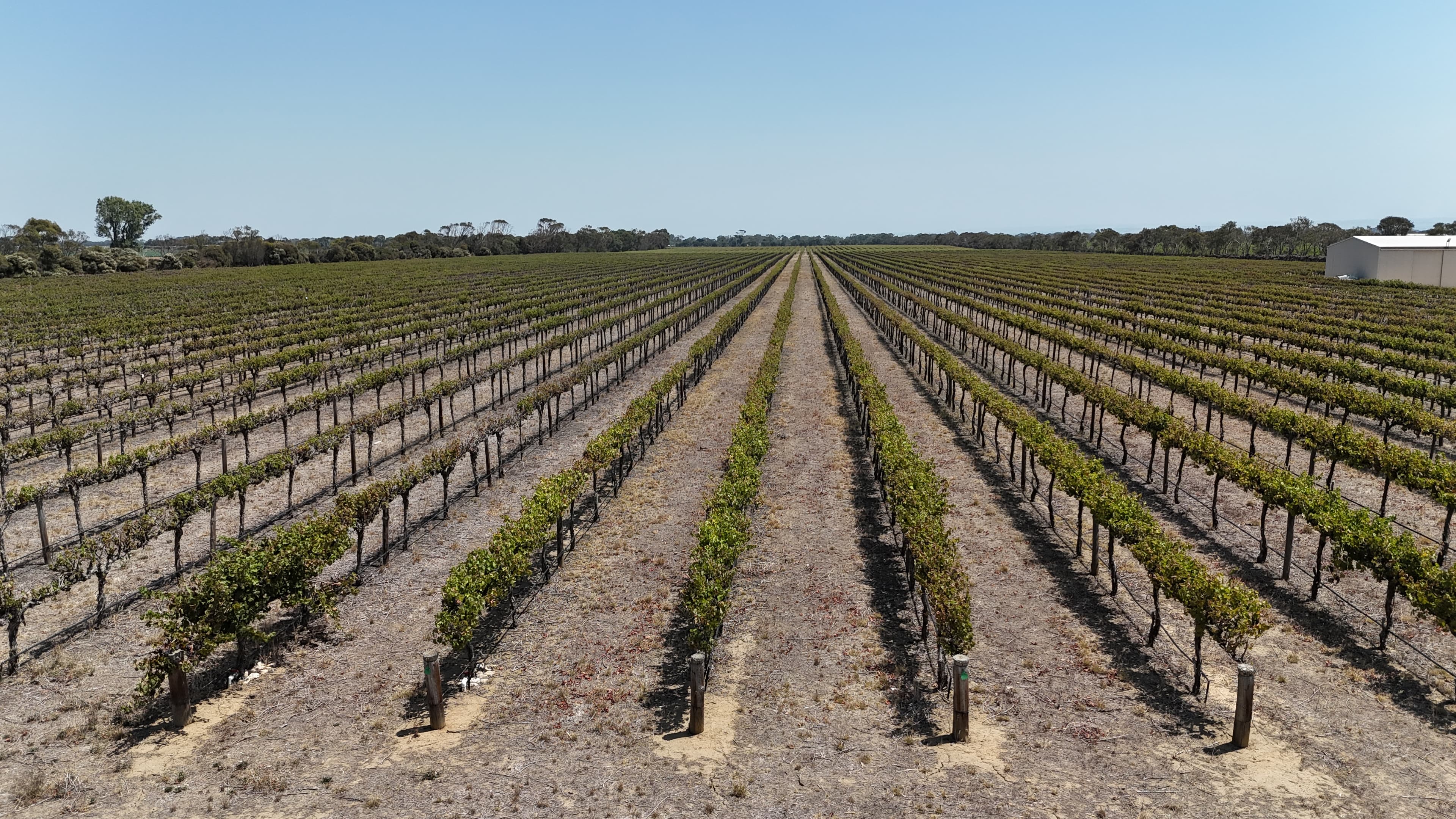 359 Chapel Road, Lake Plains SA, Lake Plains - Image 1