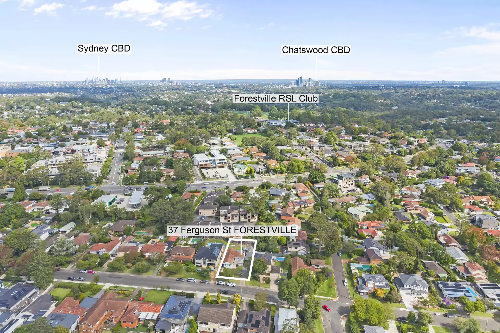 37 Ferguson Street, Forestville - Thumbnail 7
