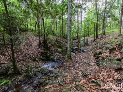 2025 Mount Mee Road, Ocean View - Thumbnail 4
