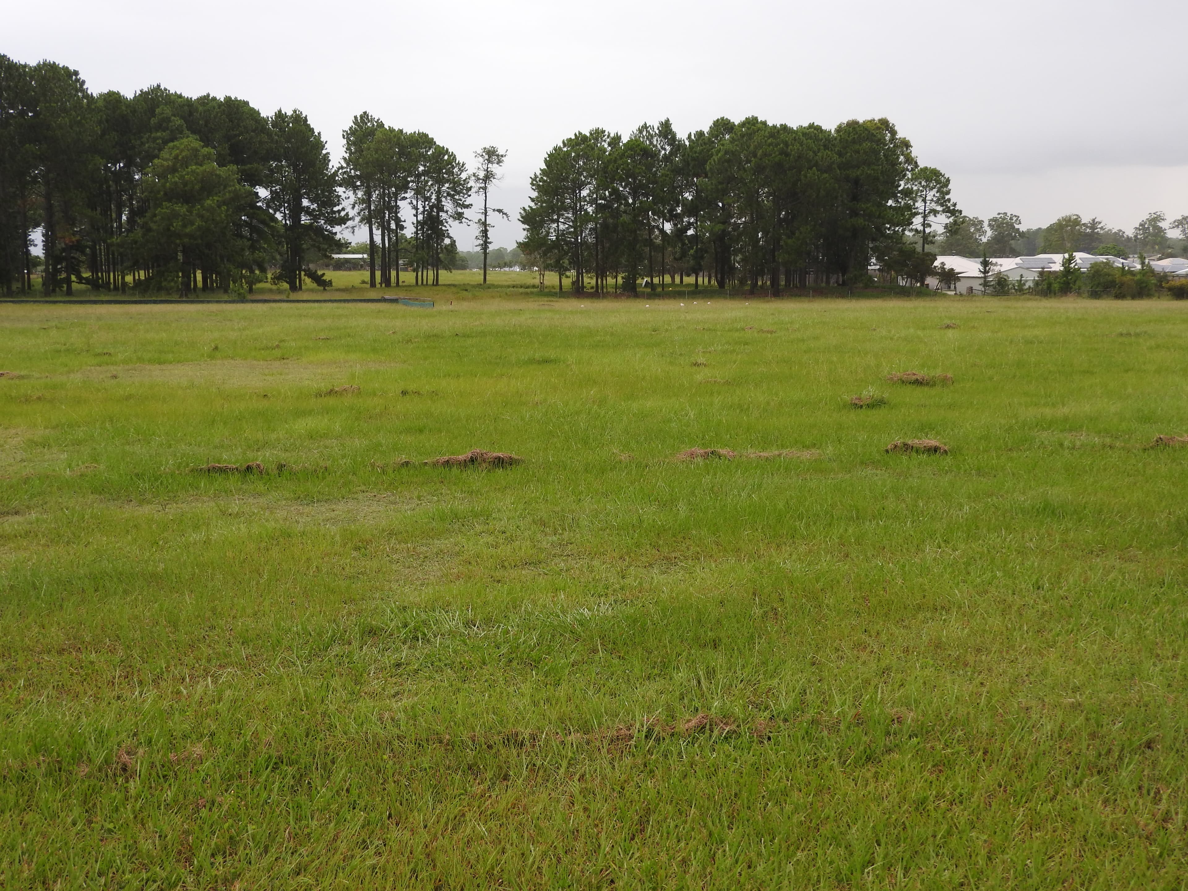 Lot Lot 2 15 Denmont Street, Elimbah - Thumbnail 3