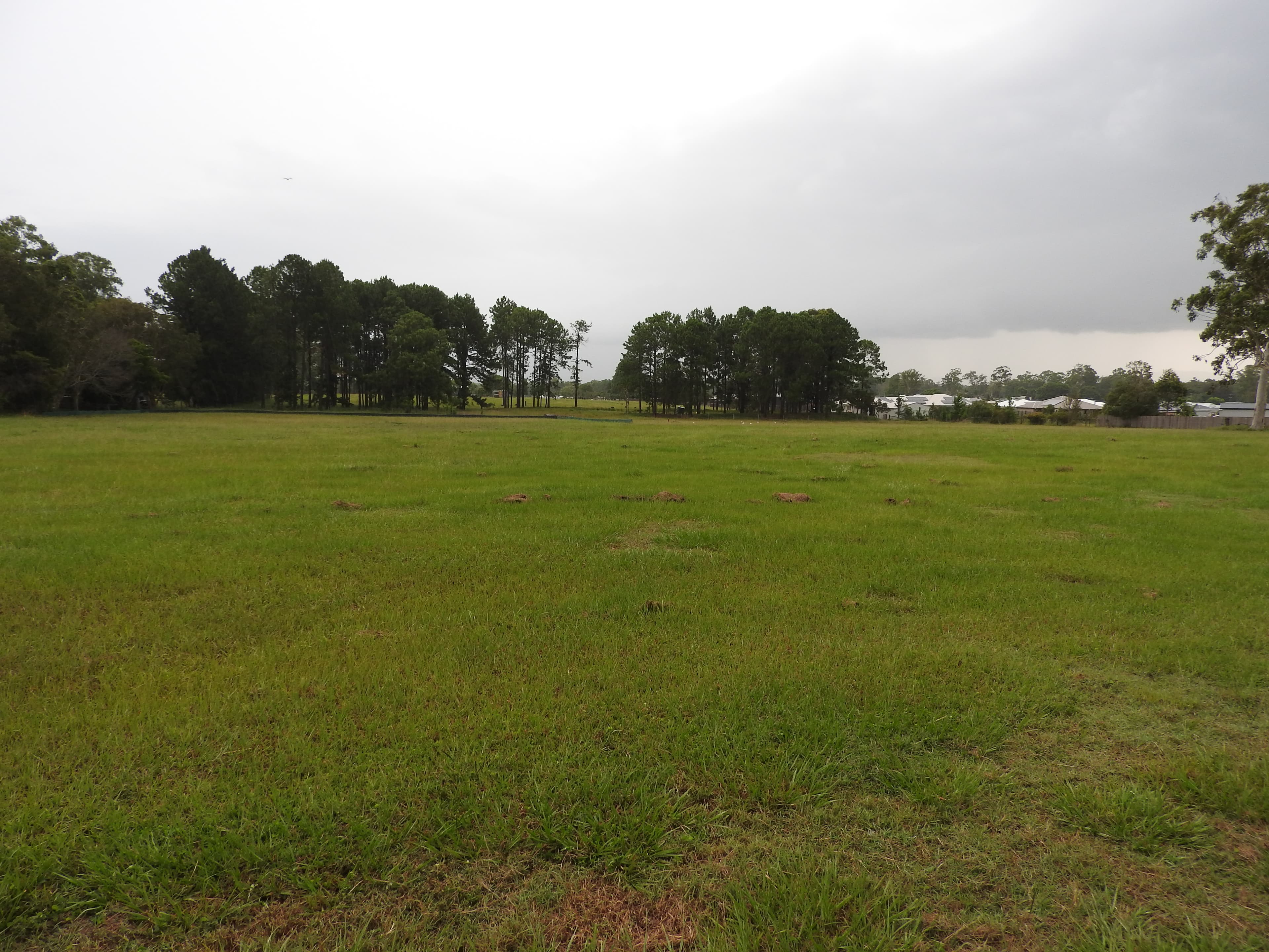 Lot Lot 2 15 Denmont Street, Elimbah - Thumbnail 4