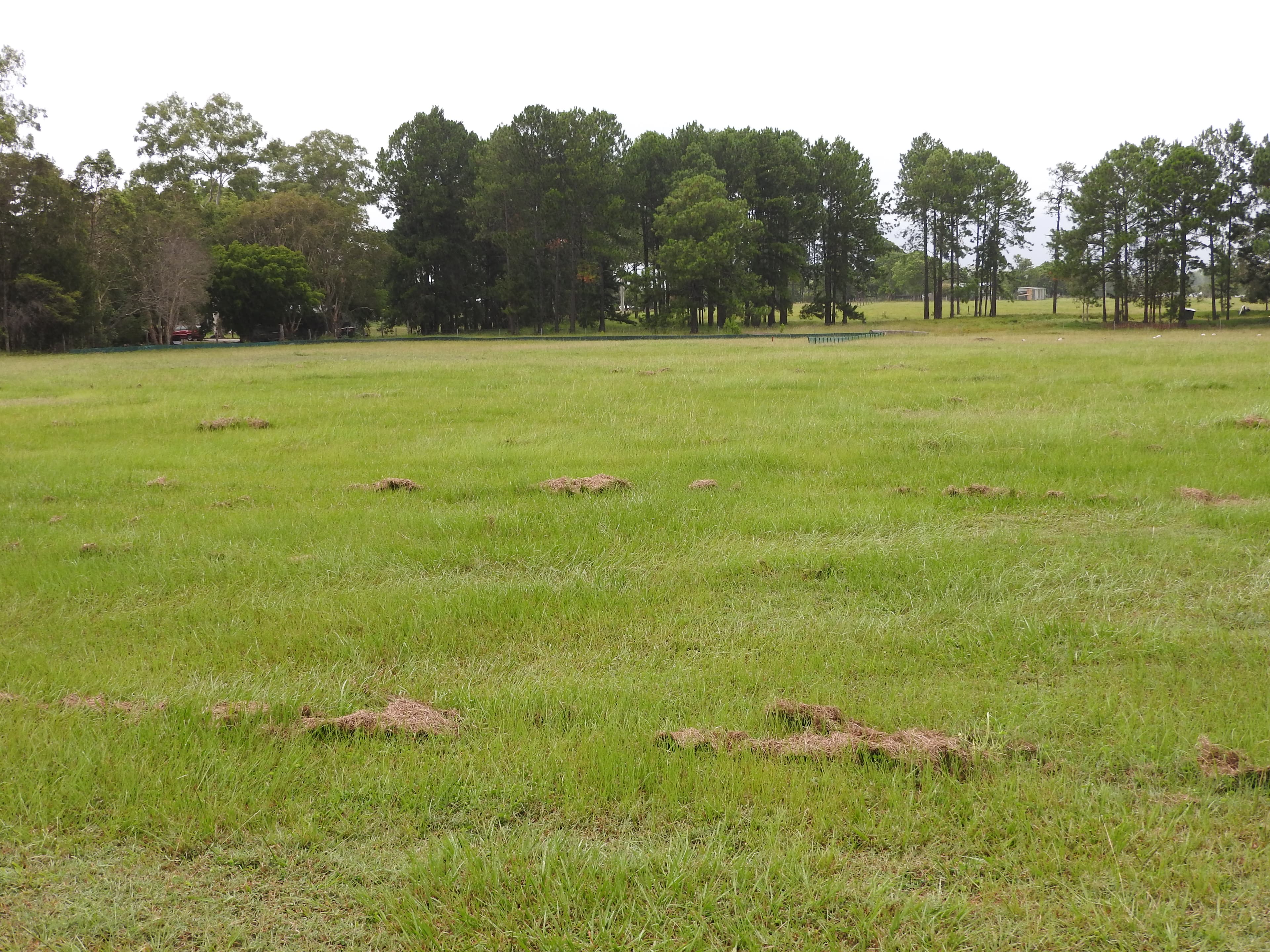 Lot Lot 2 15 Denmont Street, Elimbah - Thumbnail 5