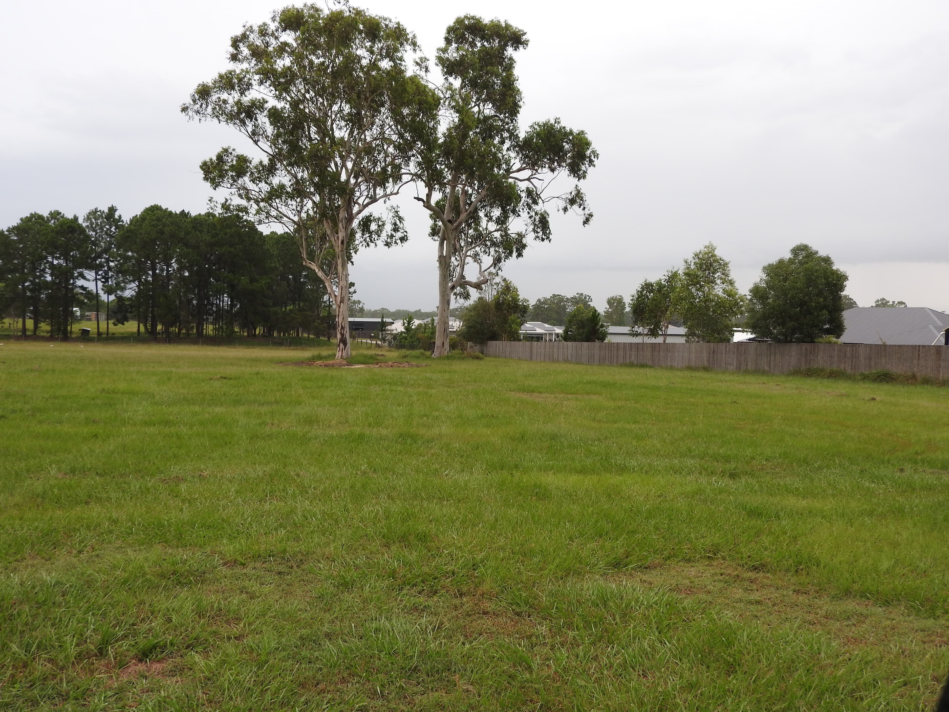 Lot Lot 2 15 Denmont Street, Elimbah - Thumbnail 6