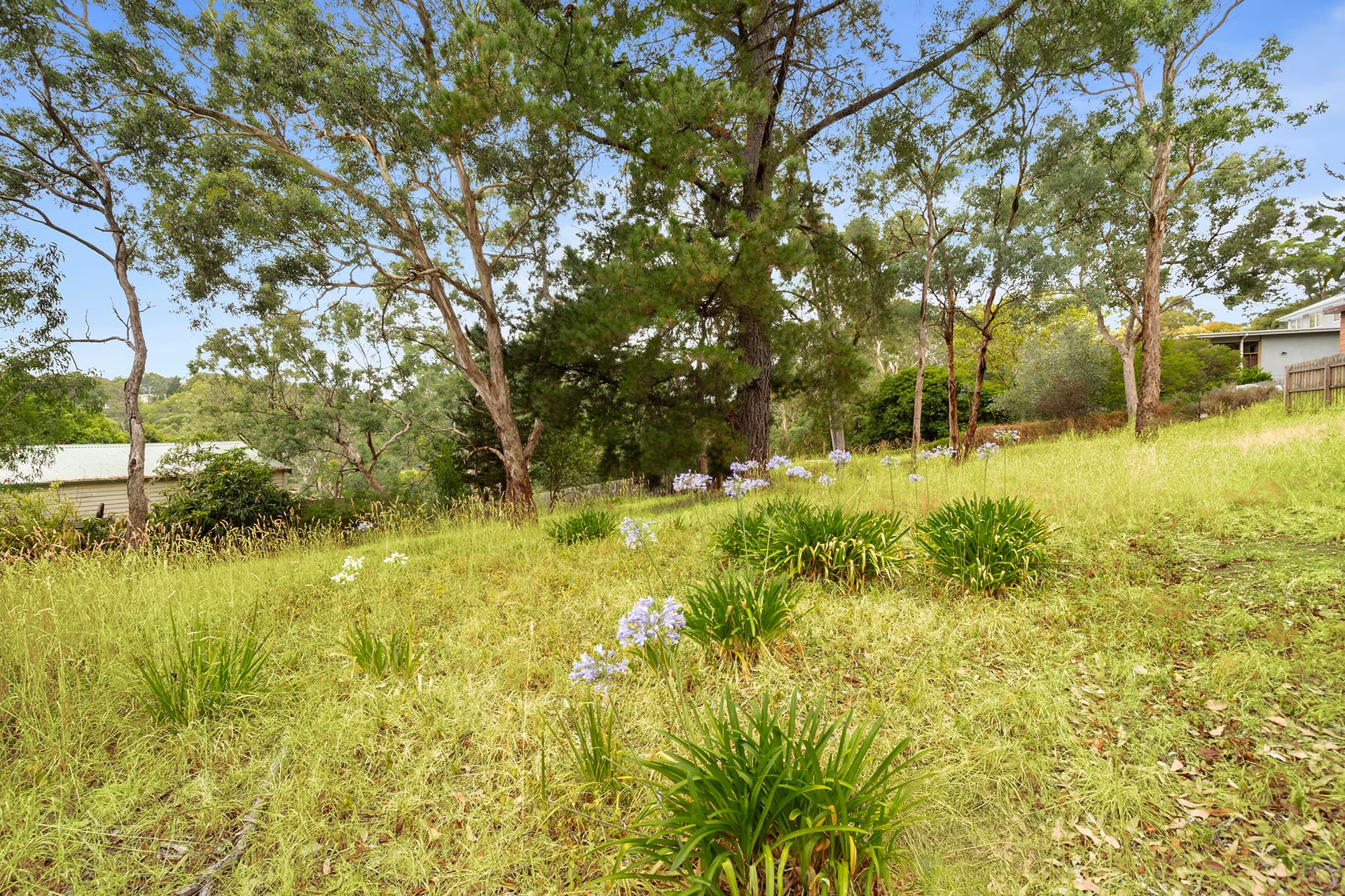 15 Park West Road, Eltham, VIC 3095, Eltham - Thumbnail 5