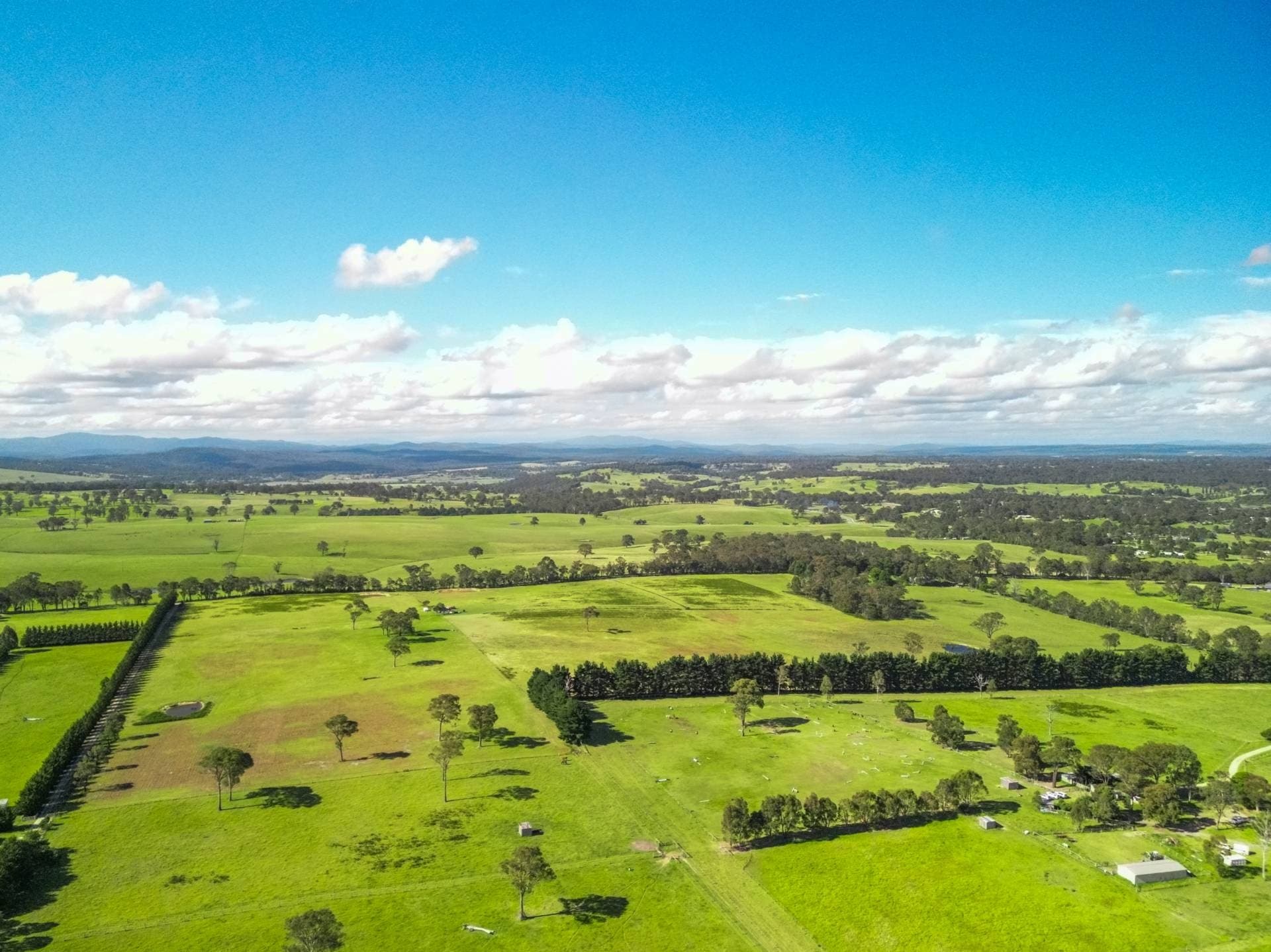 SPECTCULAR UNDULATING LAND, Nicholson
    500 Olivers Rd VIC, Nicholson 500 Olivers Rd - Thumbnail 6